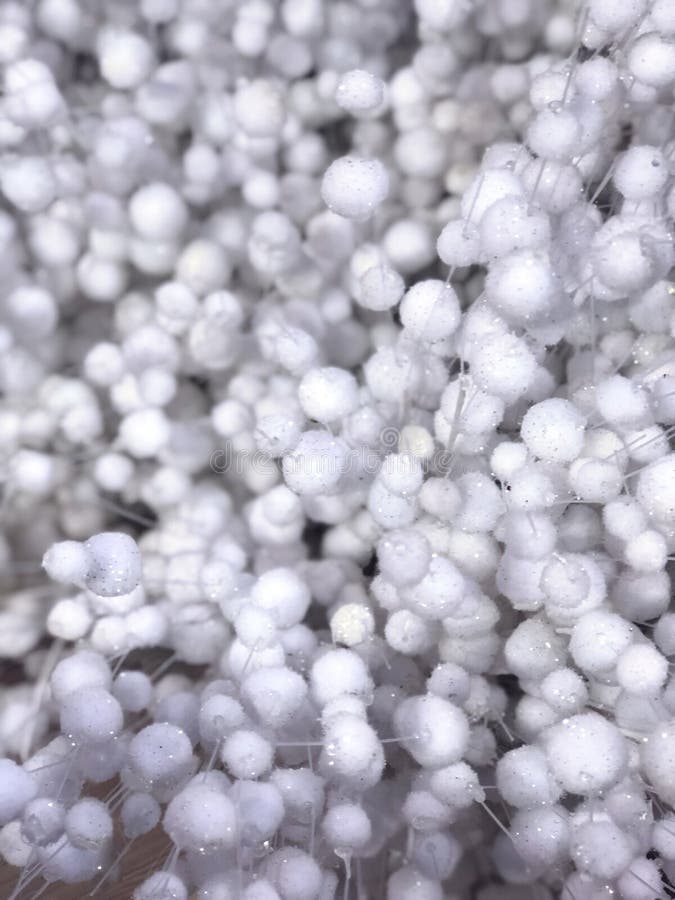 Abstract Background of Fluffy White Balls Stock Image Image of decor