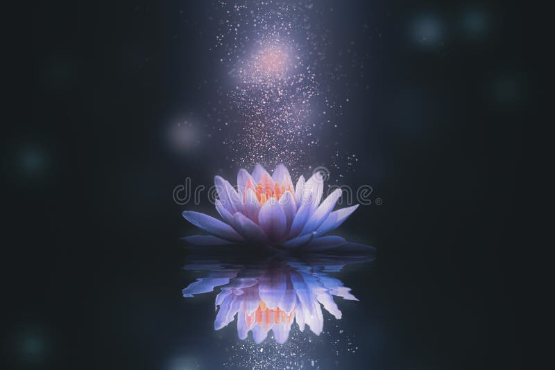 Abstract Background with Lotus Flower Stock Photo - Image of aquatic, ornamental: 168391658 Abstract Background with Lotus Flower Stock Photo - Image of aquatic, ornamental: 168391658