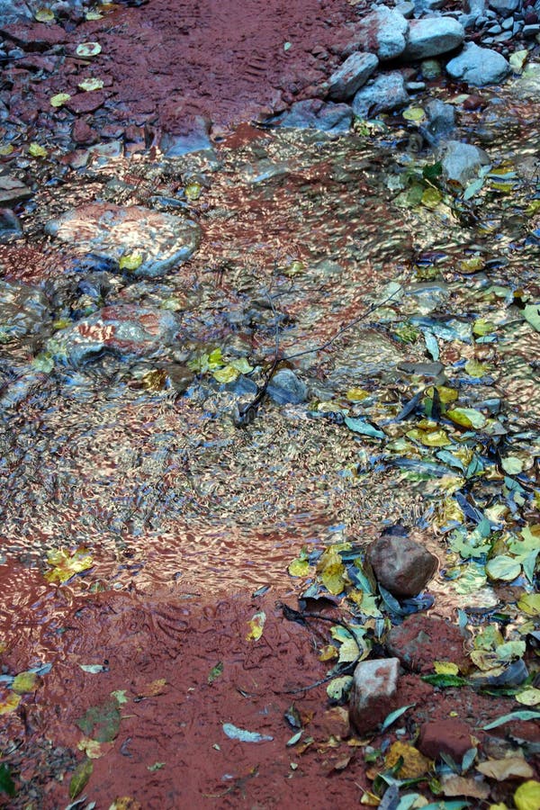 Abstract background patterns - Creek ripples royalty free stock photography