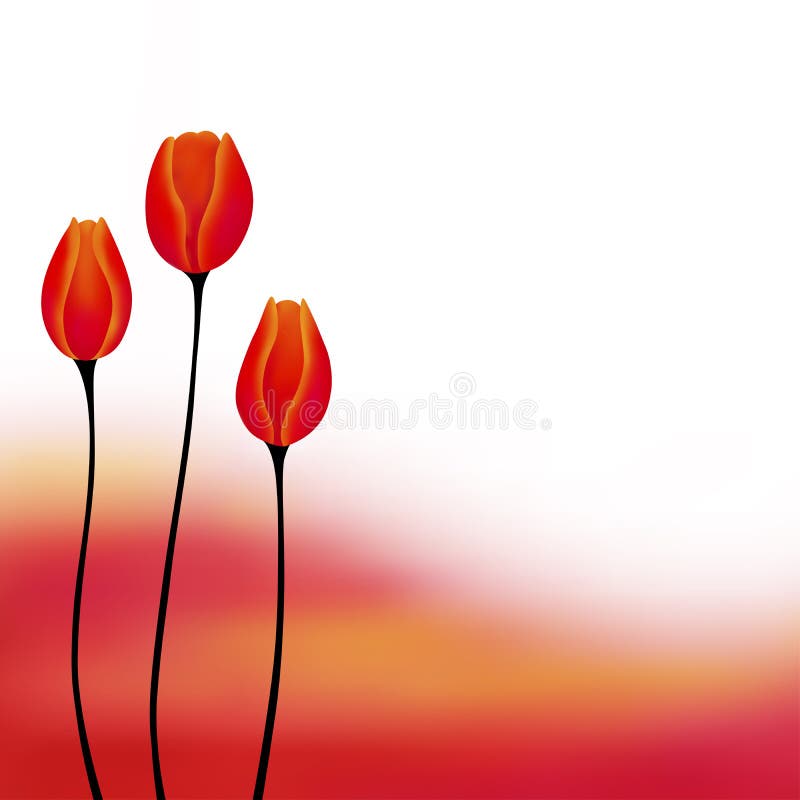 Abstract background red yellow tulip flower illustration vector illustration Abstract background red yellow tulip flower illustration vector illustration