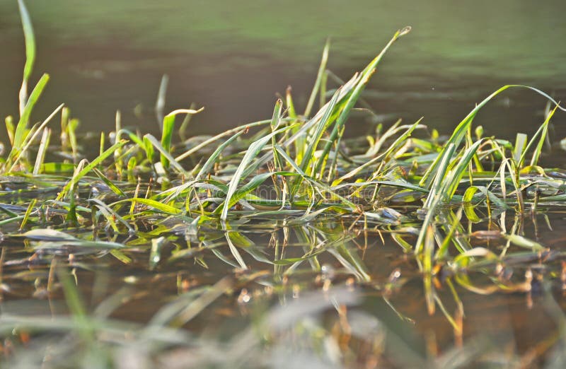 Abstract background rising water of flood natural disaster