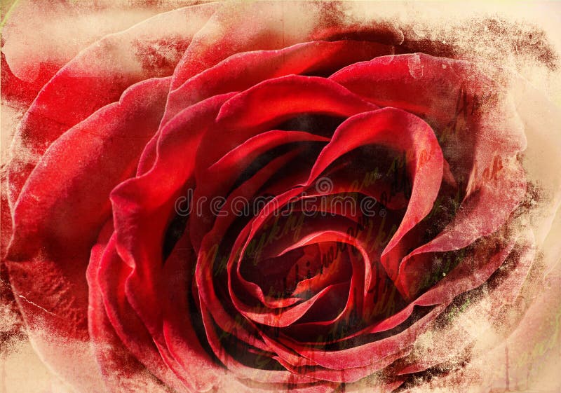 Abstract background with rose