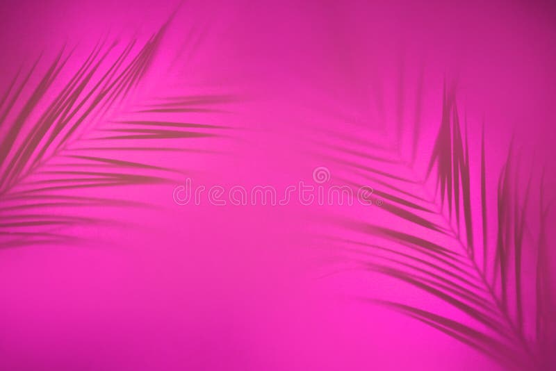 Abstract background of shadows palm leaves on pink backdrop in backlight.