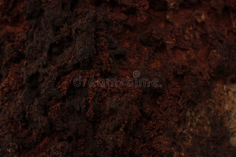 Abstract background of tree bark royalty free stock images