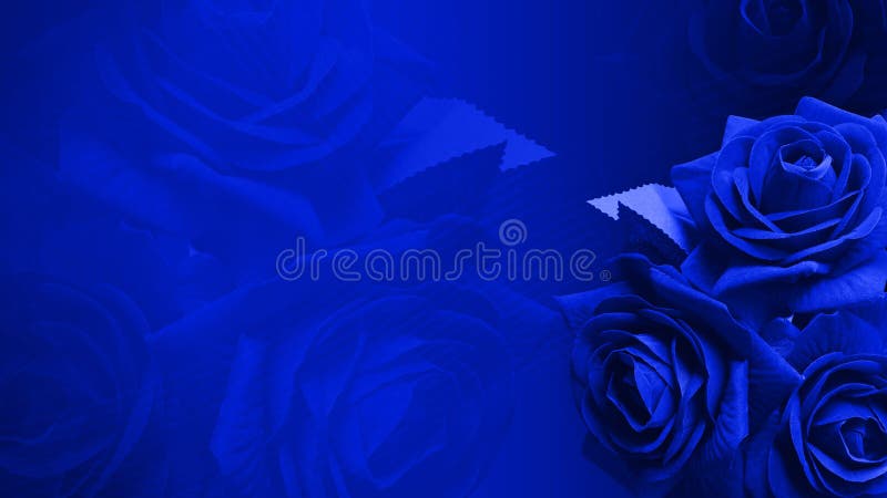 Abstract Beautiful Blue Rose Flowers Bouquet on Blur Blue Roses Flower and Blue Background, Nature, Love, Valentine, Buddha, Stock Photo - Image of decoration, marriage: 231264784 Abstract Beautiful Blue Rose Flowers Bouquet on Blur Blue Roses Flower and Blue Background, Nature, Love, Valentine, Buddha, Stock Photo - Image of decoration, marriage: 231264784