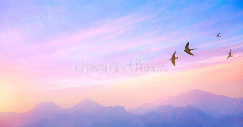 Abstract beautiful peaceful spring morning sky background; sunrise new day and flying flock of birds