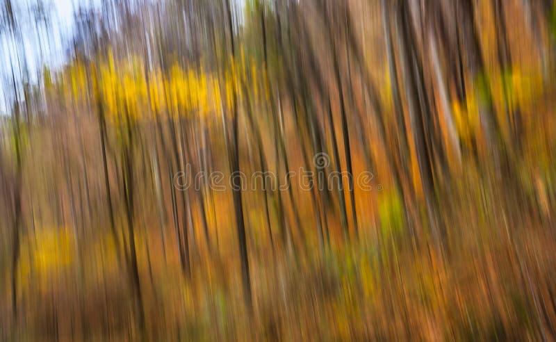 Abstract beeld van bomen in een de herfstbos stock afbeelding Abstract beeld van bomen in een de herfstbos stock afbeelding
