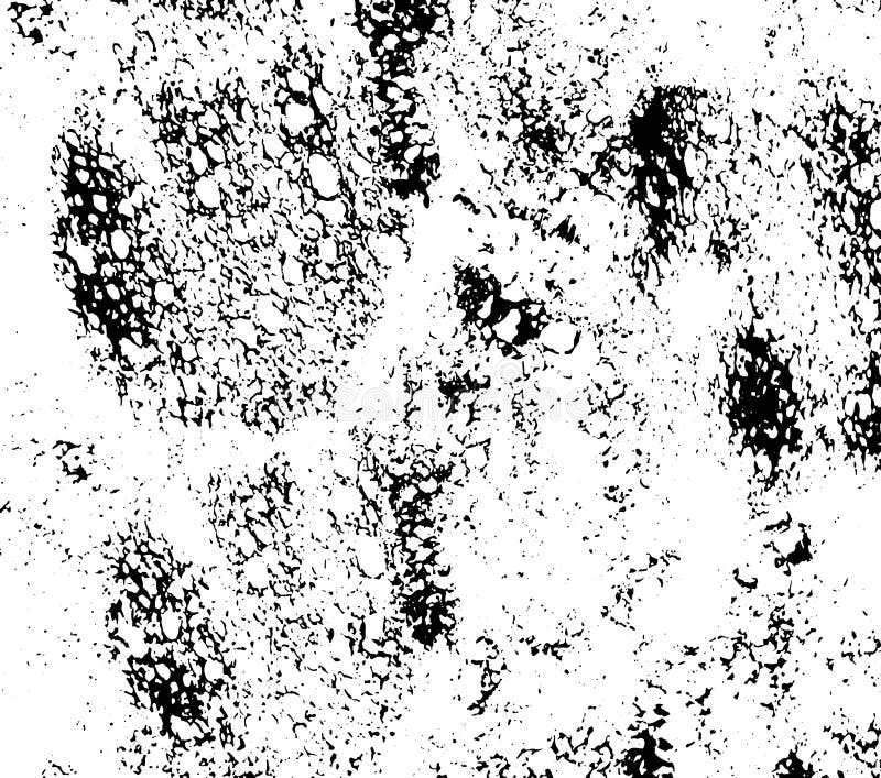 Abstract Black Sponge Stains Texture. Design for Your Brushes and