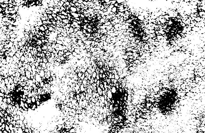 Abstract Black Sponge Stains Texture. Design for Your Brushes and