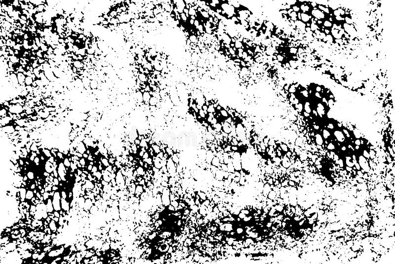 Abstract Black Sponge Stains Texture. Design for Your Brushes and