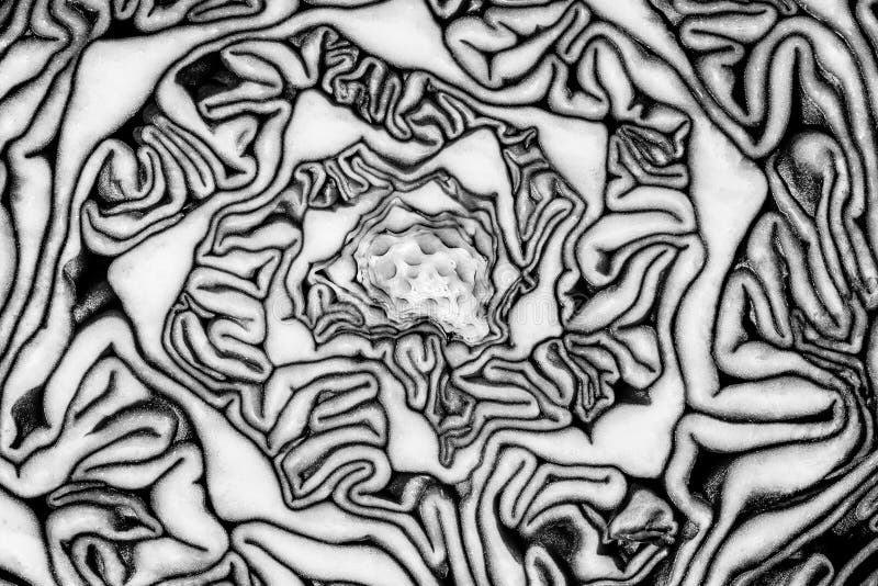 Abstract black and white texture for wallpaper or background stock illustration