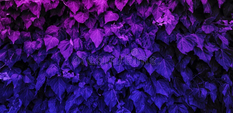 Abstract Blue and Purple Leaves Background Stock Image - Image of ...