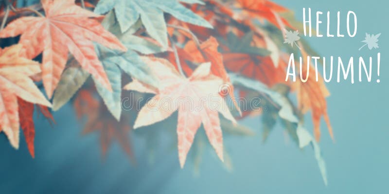 Abstract blur background of colorful maples royalty free stock image Abstract blur background of colorful maples royalty free stock image