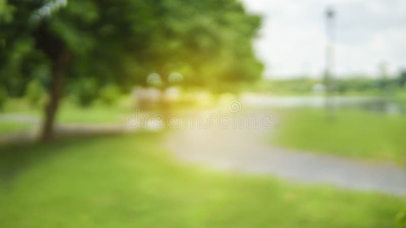 217,374 Garden Blur Background Stock Photos - Free & Royalty-Free Stock  Photos from Dreamstime