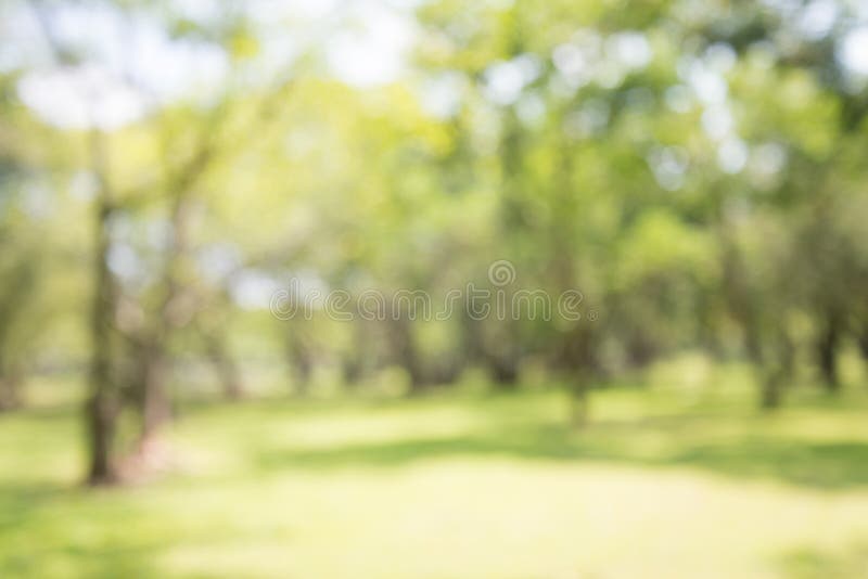 402 Blur Background Pathway Park Garden Stock Photos - Free & Royalty-Free  Stock Photos from Dreamstime