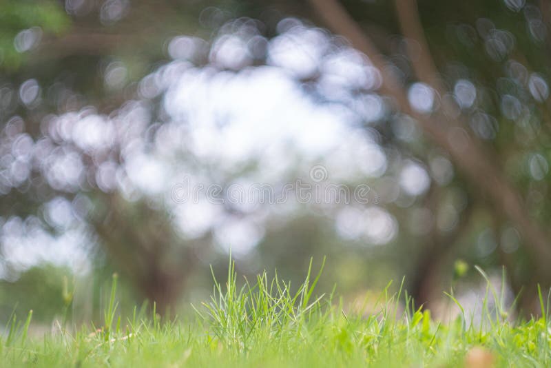 Abstract blur green exercise park in spring outdoor background concept for blurry beautiful nature field, horizon autumn meadow.