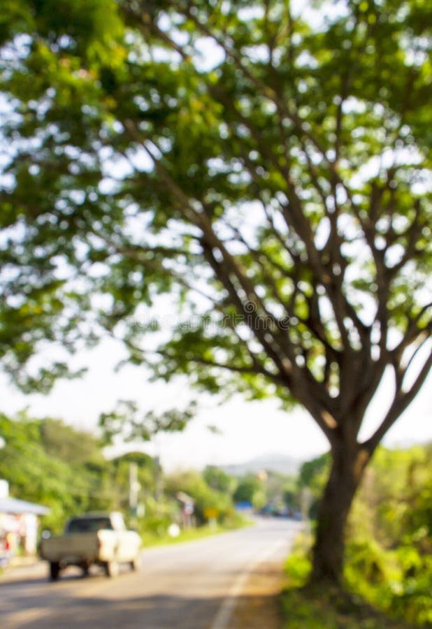 Abstract Blur of a Tree with Bokeh and Countryside Road for Nature  Background. Defocused Image Stock Image - Image of natural, defocused:  218189009