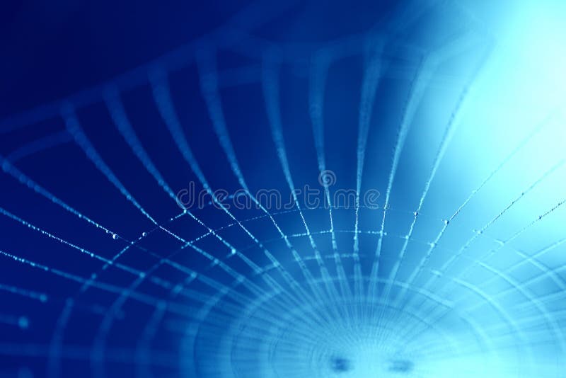 Abstract blurred background with spider web. Cobweb with dew drops on a blue background.Phantom blue background