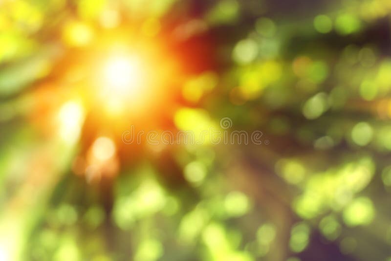 Abstract blurred green nature background with sunlight. stock images