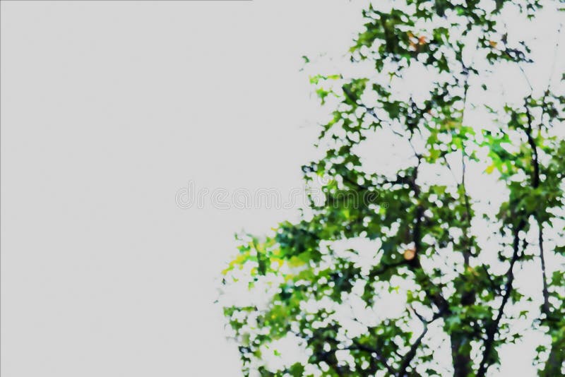 Abstract blurred image of green foliage background stock illustration