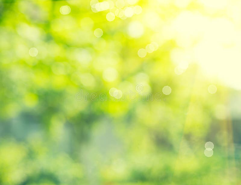 Abstract blurred nature background stock photography