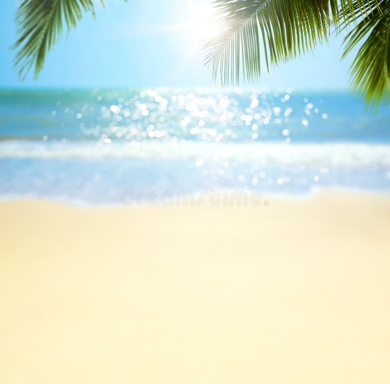 Abstract blurred summertime vacation background; sunny tropical beach with palm tree and sea waves royalty free stock images