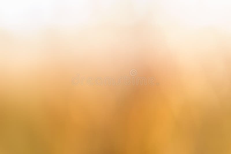 Abstract Brown Blur Background Texture Stock Image - Image of dark,  decorative: 132646575