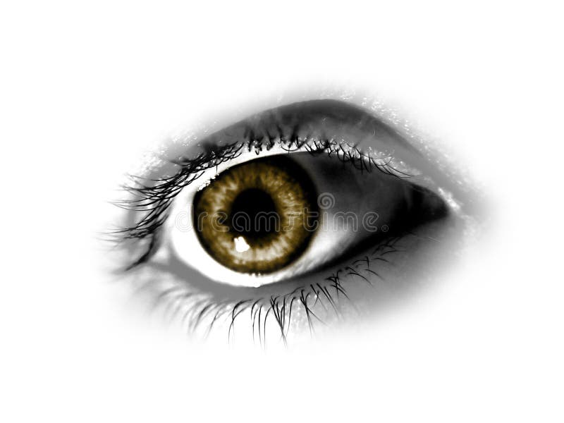 Abstract Brown Eye royalty free illustration