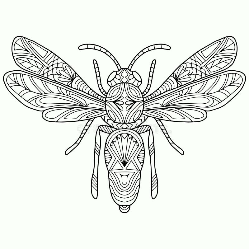 Abstract butterfly with ornaments drawn on a white background for coloring, vector, insect, coloring book