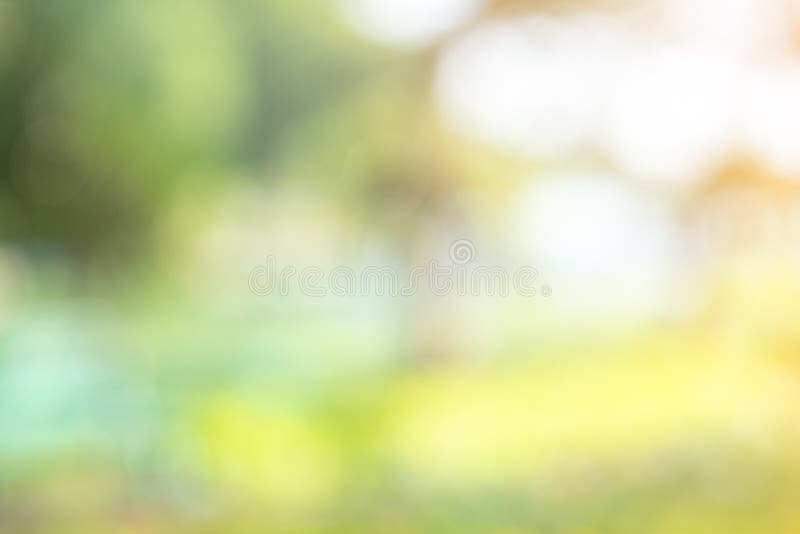 Abstract circular light bokeh background. Green leaves bright colors yellow light shining. Romantic soft gentle artistic image.