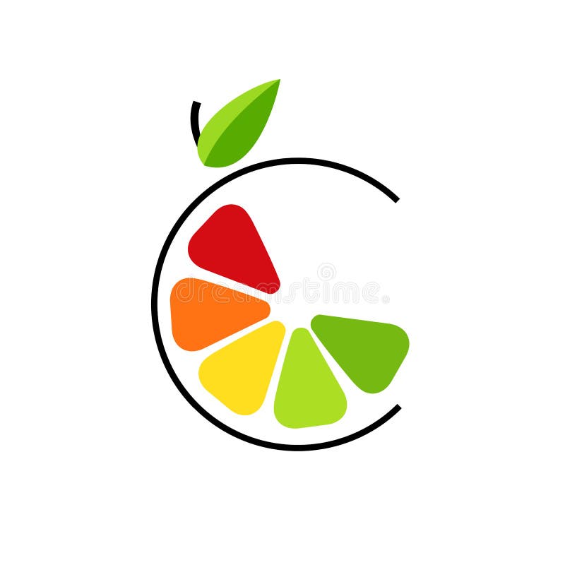 Abstract color slice citrus fruits with circle line. Logo concept royalty free illustration