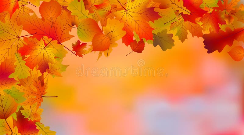 Abstract colorful autumn background vector illustration Abstract colorful autumn background vector illustration