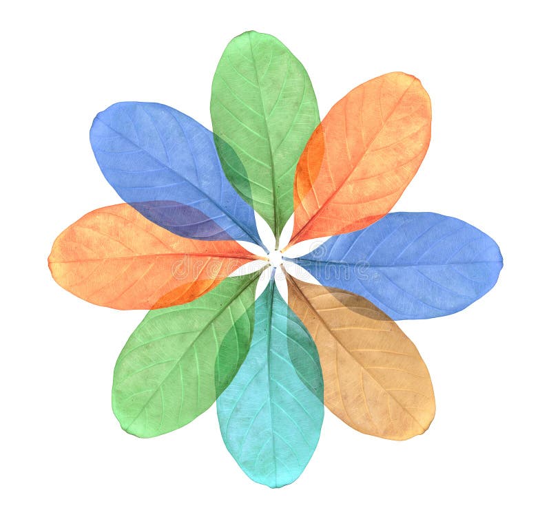 Abstract colorful Leaf isolated