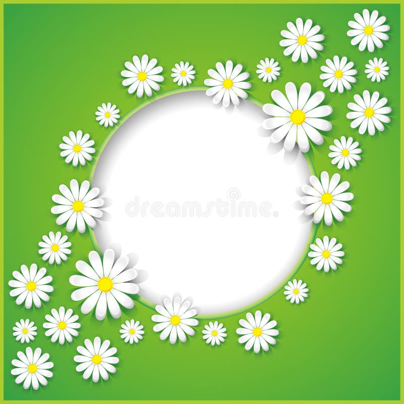 Abstract background with flower camomile