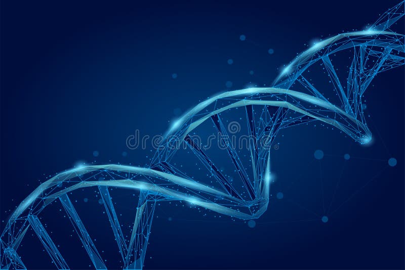 Abstract 3d polygonal wireframe DNA molecule helix spiral Medische wetenschap, genetische biotechnologie, chemie, gencel