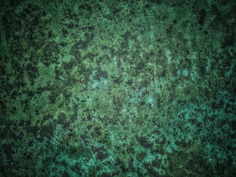 Abstract Dark Green grunge texture.Background faint vintage texture.Abstract background luxury rich vintage grunge texture.