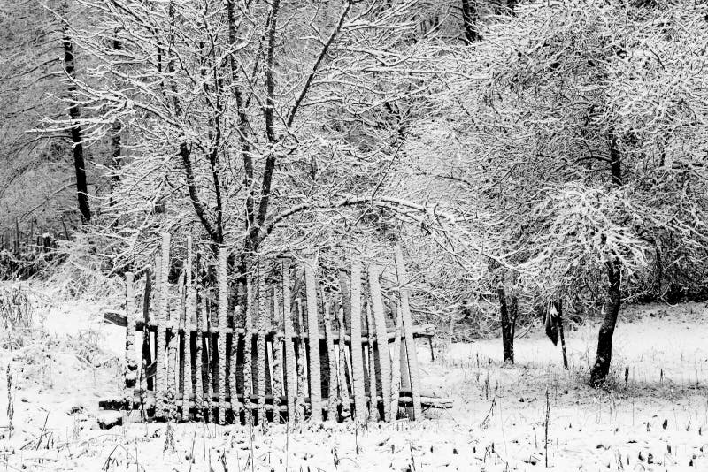 Abstract winterlandschap stock foto