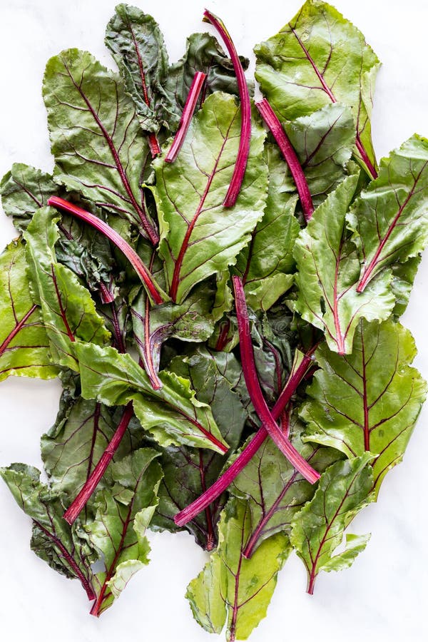 An Abstract Design of Fresh Beet Leaves and Stems in a Pile. Stock