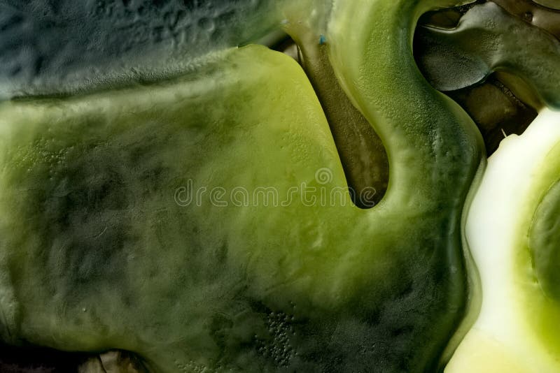 Melted Wax Forms Macro Close Up Stock Photo Image of surface, bees