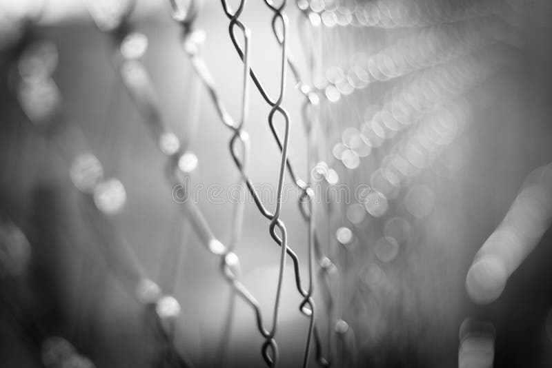 Abstract fence concept process into black and white and blurred bokeh background. Abstract fence concept process into black and white and blurred bokeh background