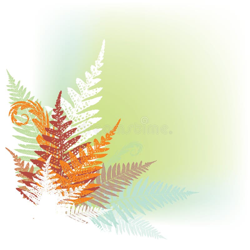 Abstract fern design element vector illustration