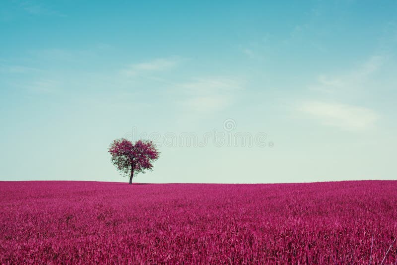 Abstract field with heart shape tree under blue sky. Beauty nature. Valentine concept background royalty free stock image Abstract field with heart shape tree under blue sky. Beauty nature. Valentine concept background royalty free stock image
