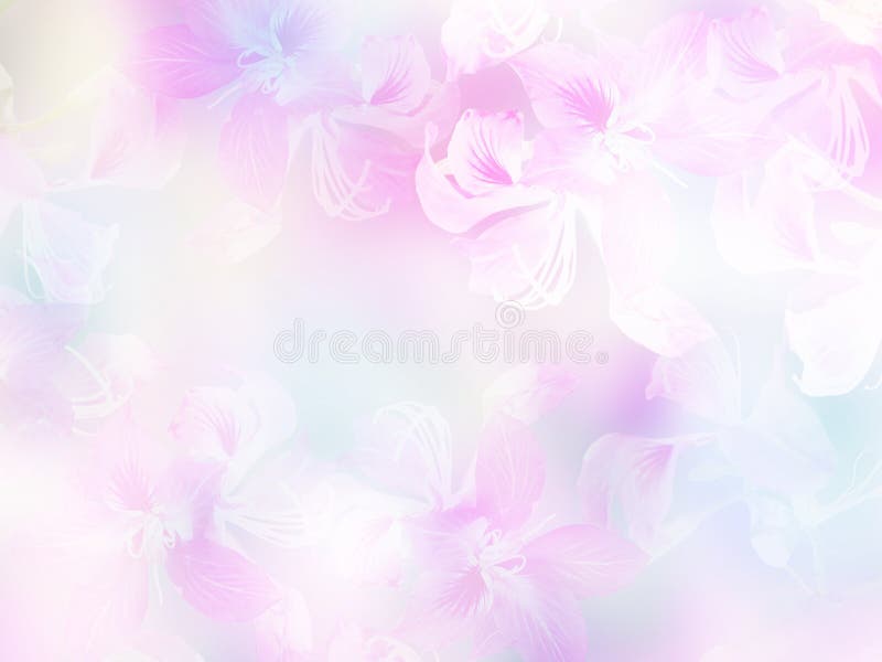 Abstract Floral Backdrop of Purple Flowers with Soft Style Stock Image -  Image of park, color: 184086357