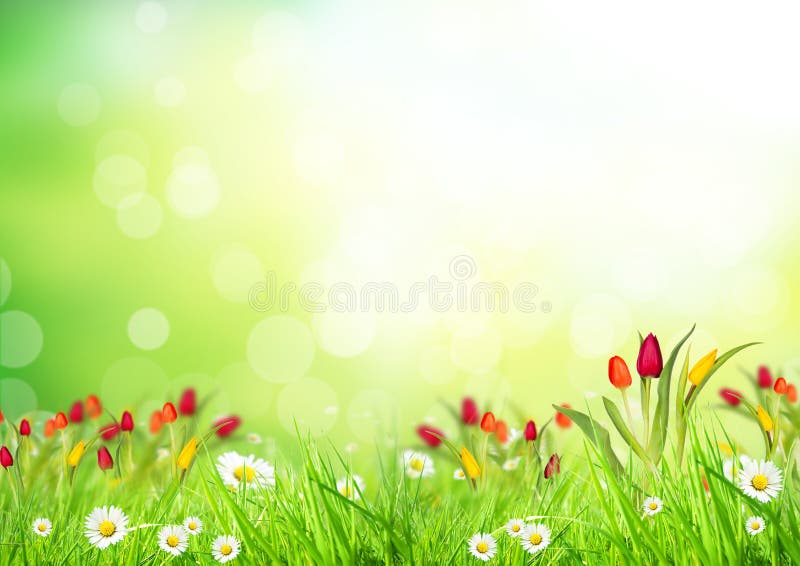 Abstract floral background