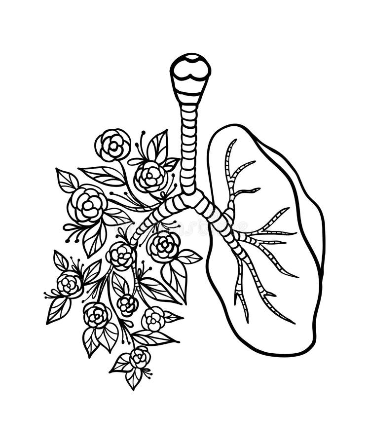 Flower Lungs Stock Illustrations – 445 Flower Lungs Stock Illustrations,  Vectors & Clipart - Dreamstime