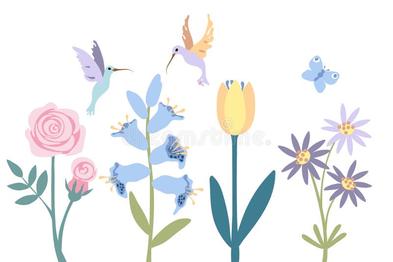 Abstract flower, rose, bell, tulip, lilac chamomile. Flying little colibri and butterfly on white background, isolated. Cartoon