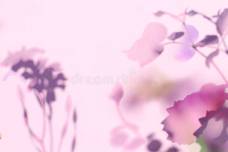Abstract Flower Shadows Background Stock Image - Image of closeup, pink
