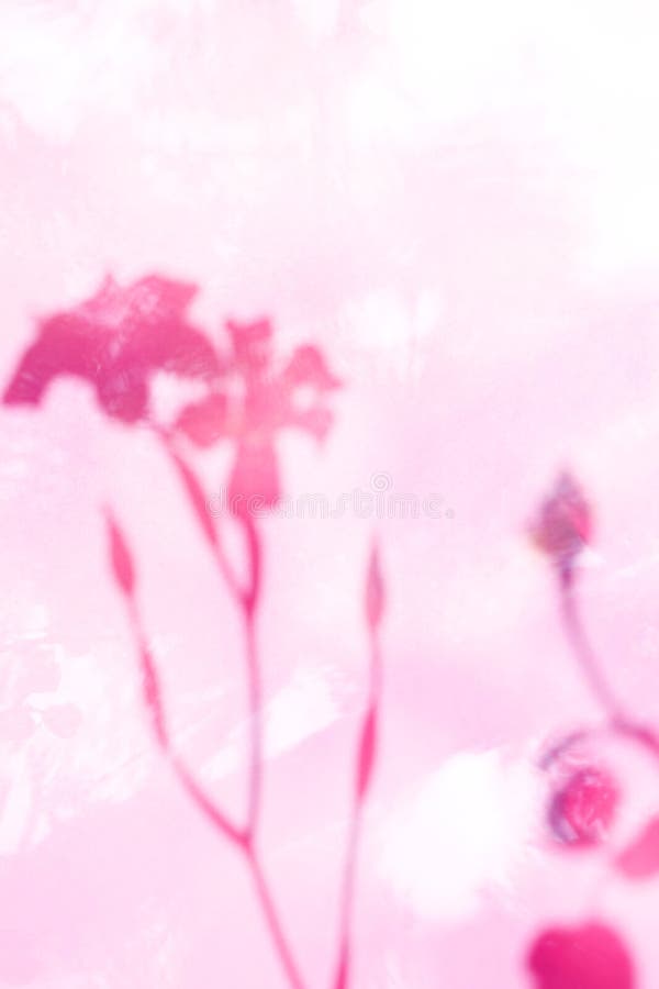 Abstract Flower Shadows Background Stock Image - Image of white