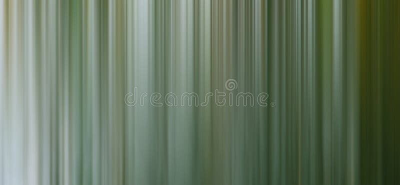 Abstract forest background