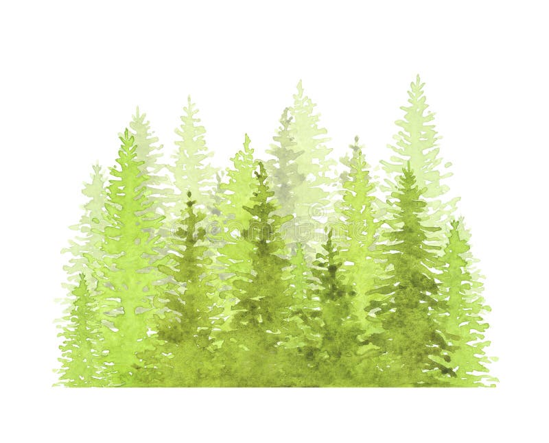 Abstract forest, silhouette of trees. Green forest, countryside landscape. Watercolor group of trees - fir, pine, cedar, fir-tree.